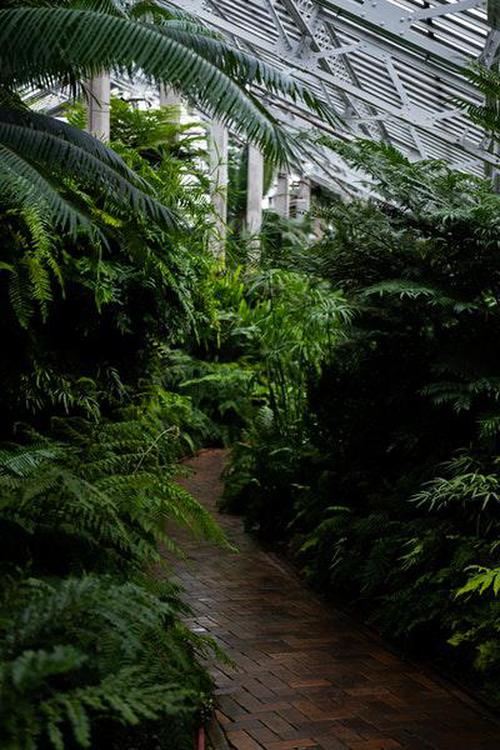 盛世应用大厅旧版